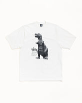 BIG & MEATY TEE PIGMENT DYED