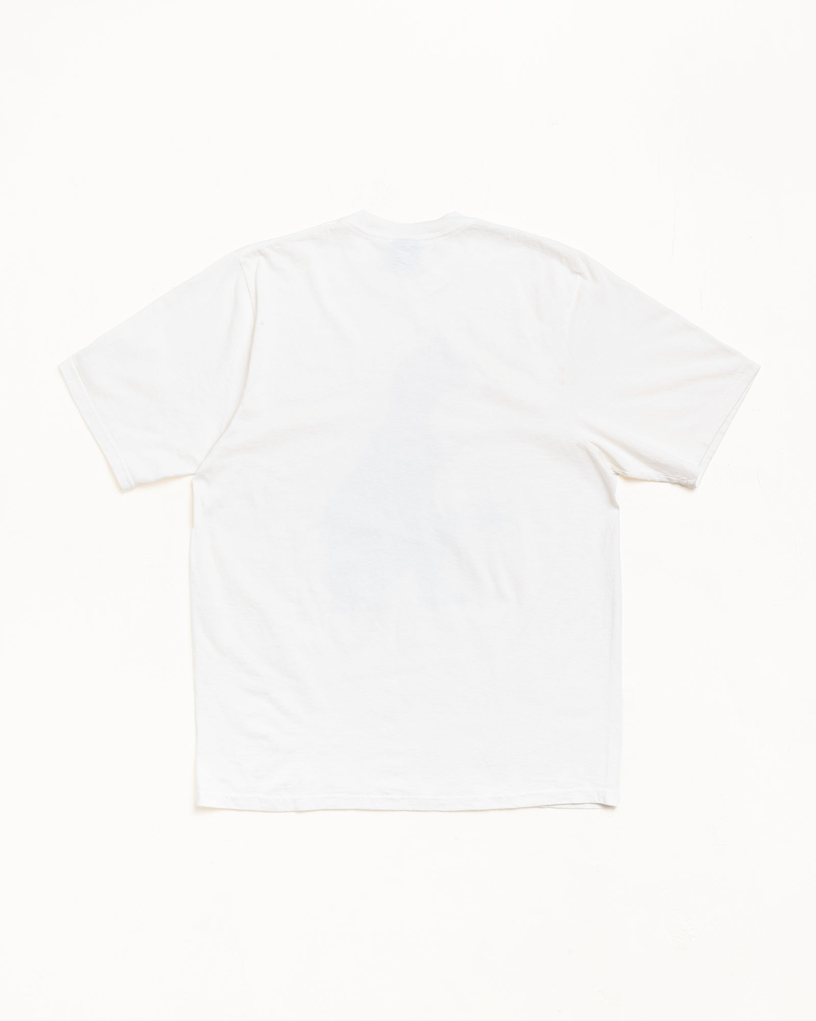 BIG & MEATY TEE PIGMENT DYED