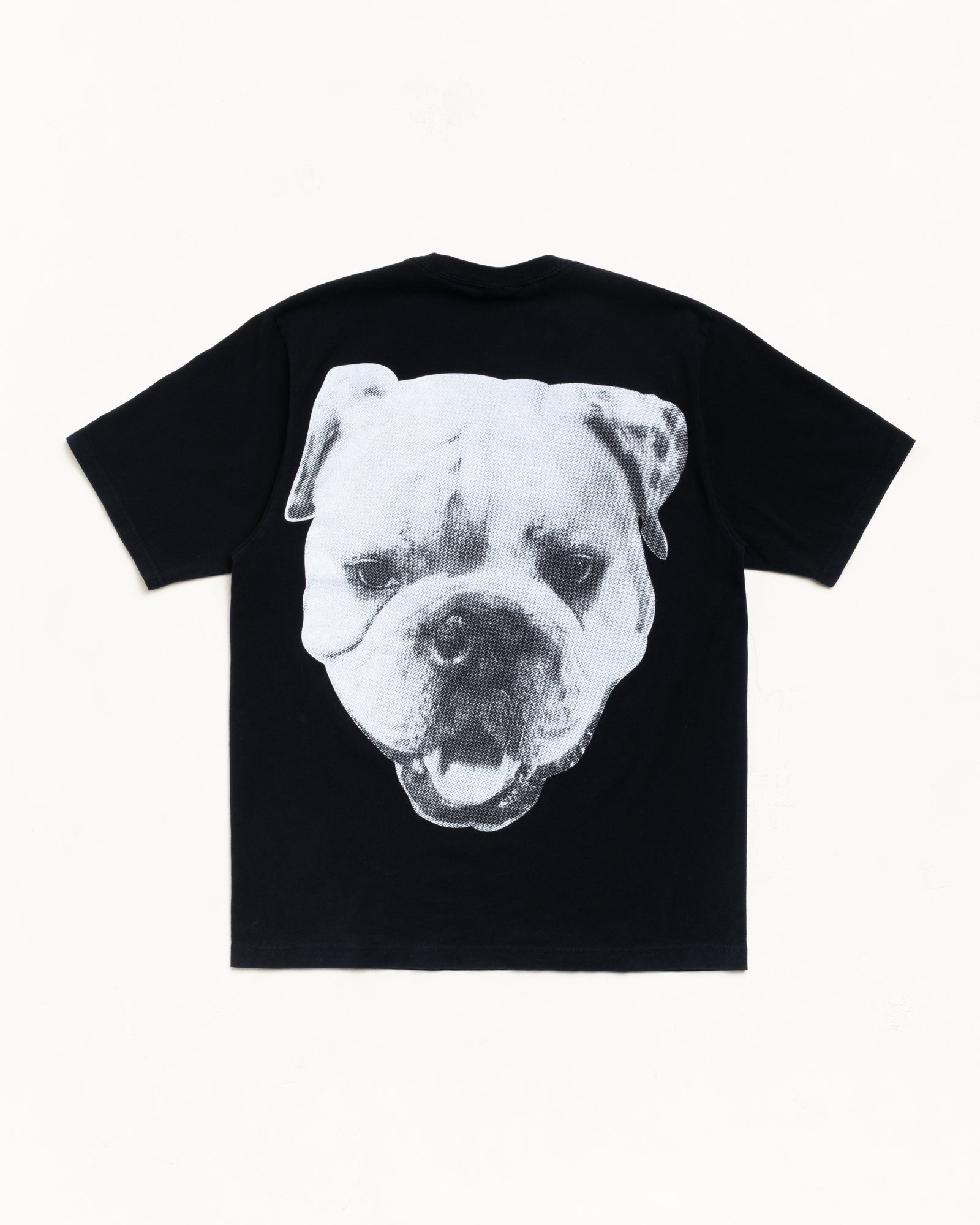 BIG DOG STONE WASHED TEE