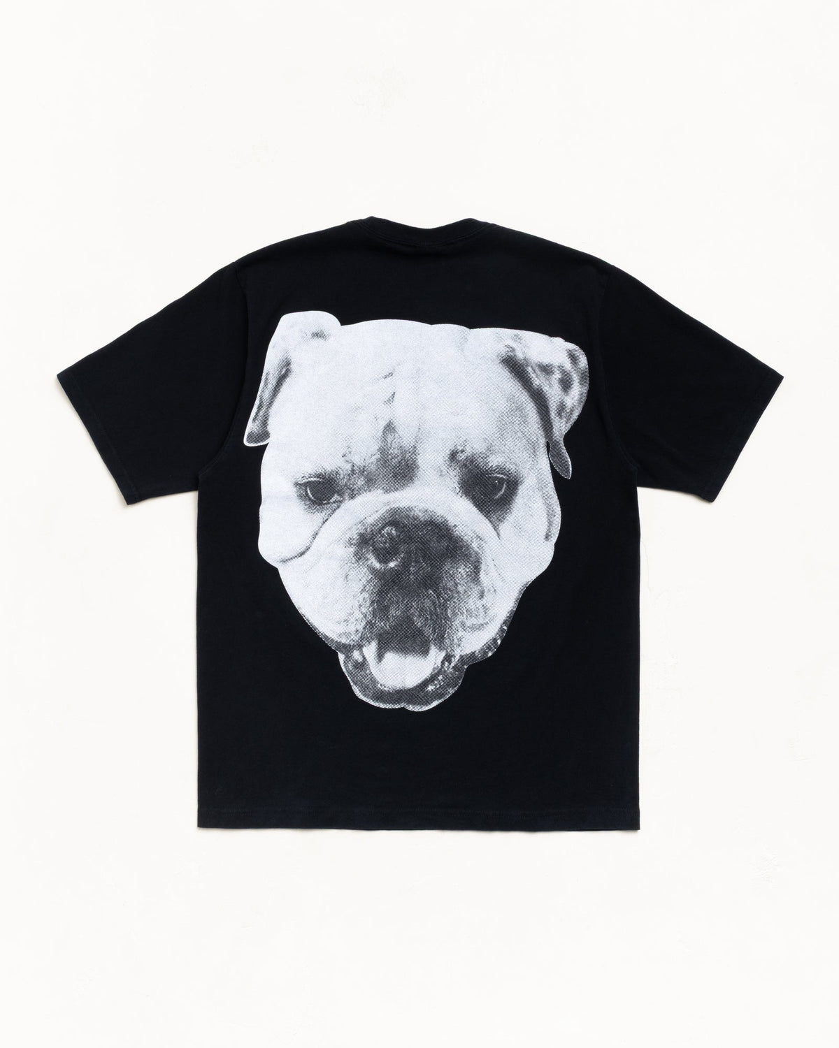 BIG DOG STONE WASHED TEE