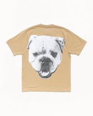 BIG DOG STONE WASHED TEE