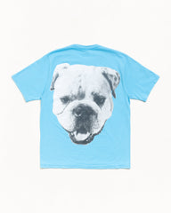 BIG DOG STONE WASHED TEE