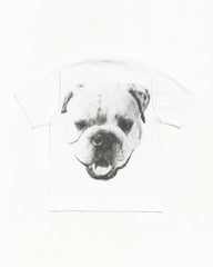 BIG DOG STONE WASHED TEE